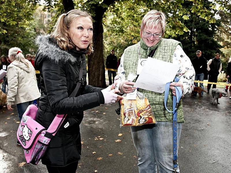 13. ročník soutěže O jabloneckého voříška 2011 se konal tradičně v Tyršových sadech. Bojovat o tituly přišli majitelé se 24 psy.