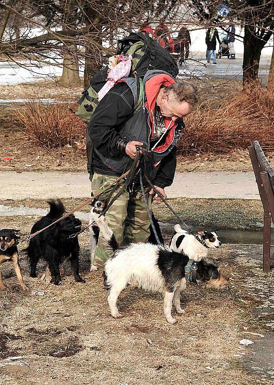 Od 1. března budou jablonečtí strážníci nekompromisně pokutovat majitele, kteří po svých psech neuklidí exkrementy. S osvětou vyrazii v neděli k jablonecké přehradě pracovníci Ligy na ochranu zvířat a z útulku pro opuštěná zvířata Dášenka. 