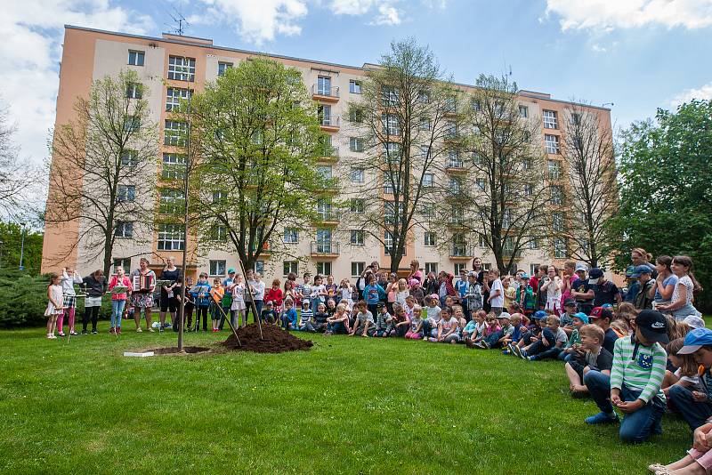 Vedení města Turnov a zástupci Výboru dobré vůle - Nadace Olgy Havlové zasadili 25. dubna v Turnově lípu na počest 85. výročí narození Olgy Havlové. Se výsadbou stromu pomohly i děti ze Základní školy Skálova v Alešově ulici.