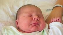 KAREL KREJSA se narodil v pátek 11. srpna mamince Eleně Maczíkové.  Měřil 50 centimetrů a vážil 3,54 kilogramu.