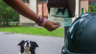 Zásobníky na sáčky na psí výkaly v Liberci jsou prázdné. Staly se terčem  vandalů - Liberecký deník