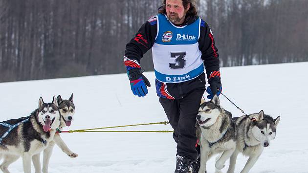 Mistrovství České republiky psích spřežení se jelo 11. února 2017 v Zásadě na Jablonecku. Jely se kategorie sprint a mid, délka tratí byla od 11 do 40 kilometrů.