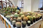 Výstava kaktusů a sukulentů v Krupce.