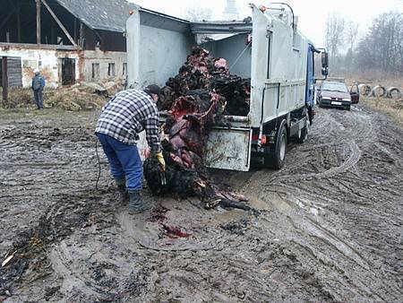 Při loňském požáru v Křižanech uhynulo několik koní
