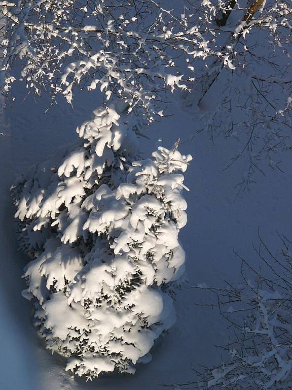 Zima ve Mšeně. Vzpomínka na 15. prosince 2010