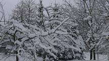 Zima ve Mšeně. Vzpomínka na 15. prosince 2010