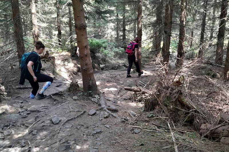 Protržená přehrada na Bílé Desné je oblíbeným cílem turistů.