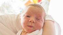 SEBASTIAN TALLER se narodil v úterý 3. dubna v jablonecké porodnici mamince Zuzaně Jáklové z Liberce.  Měřil 50 cm a vážil 3,57 kg.