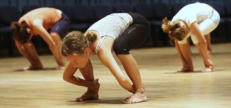 Zkušený kubánský tanečník, lektor a choreograf Raúl Missael Ramos Keeling ve svých lekcích osobitým stylem spojuje tradiční a folklorní tanec se současnými a moderními prvky i s prvky baletu.