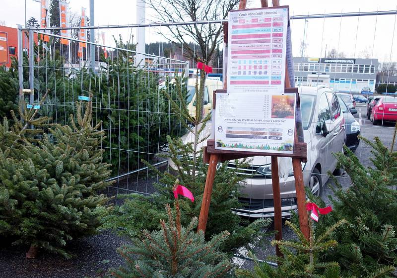 Prodej vánočních stromků se rozjel naplno i na Jablonecku.