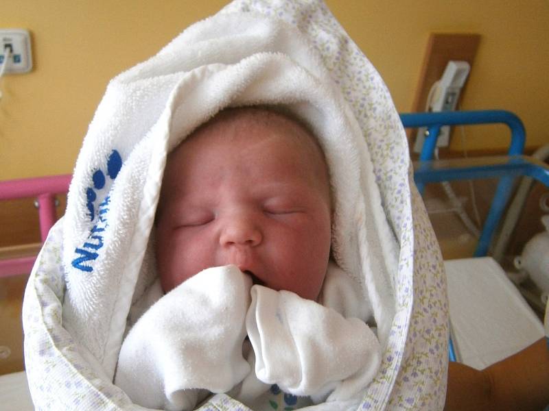 Alice Habová se narodila Denise Habové z Velkých Hamrů 8.1.2015. Měřila 47 cm a vážila 3200 g.