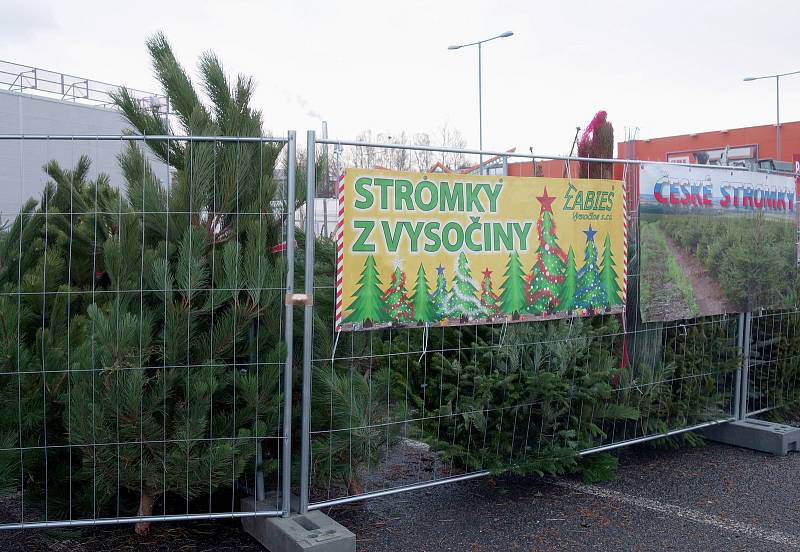 Prodej vánočních stromků se rozjel naplno i na Jablonecku.