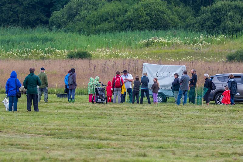 Slavnosti jizerskohorských luk proběhly v sobotu 15. července v Horním Maxově v přírodní rezervaci Malá Strana.