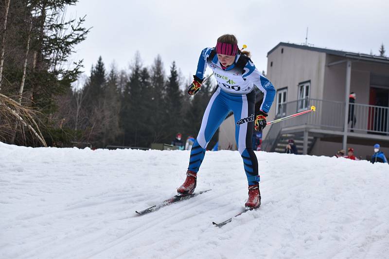 Třídenní závody FIS na jabloneckém kolečku