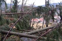 Pohled z místa popadaných stromů přes komunikaci v Plavech směrem na obec.