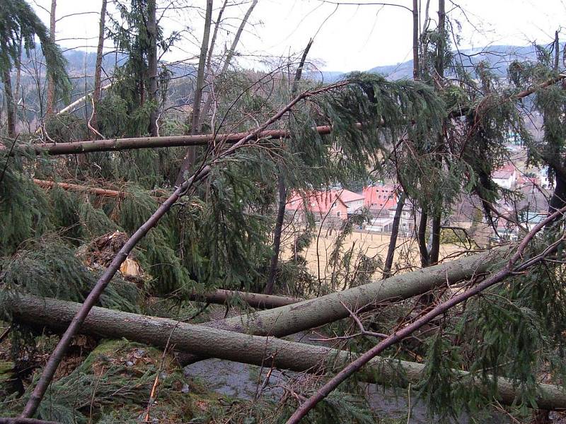 Pohled z místa popadaných stromů přes komunikaci v Plavech směrem na obec.