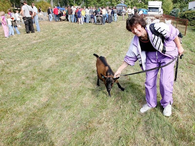 Tradiční Svatováclavská výstava ovcí a koz v areálu Kozí farmy v Pěnčíně na Jablonecku přilákala stovky lidí. 