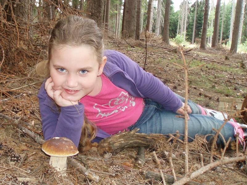 DO LESA S KOŠÍKEM A S FOTOAPARÁTEM. Ne všechno je jedlé... vícekrát. Něco jen jednou. Říkají s nadsázkou houbaři. Některé houby ale jedlé jsou, bezpečně je poznáte, ale přesto se nesmí sbírat. 