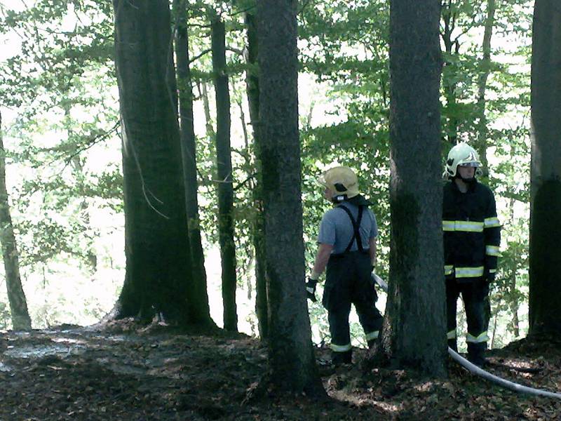 V sobotu 2. května odpoledne hořel les na Rádle. Vedle profesionálních hasičů z Jablonce se na likvidaci požáru podílely také jednotky  SDH Rádlo a SDH  Proseč nad Nisou. 