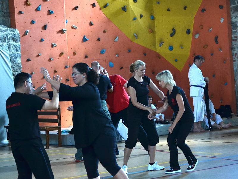 Dva věhlasní zahraniční mistři bojového umění, aikido a taichi, vedou sportovní kemp v nejvýše položené osadě Jizerských hor na Jizerce.