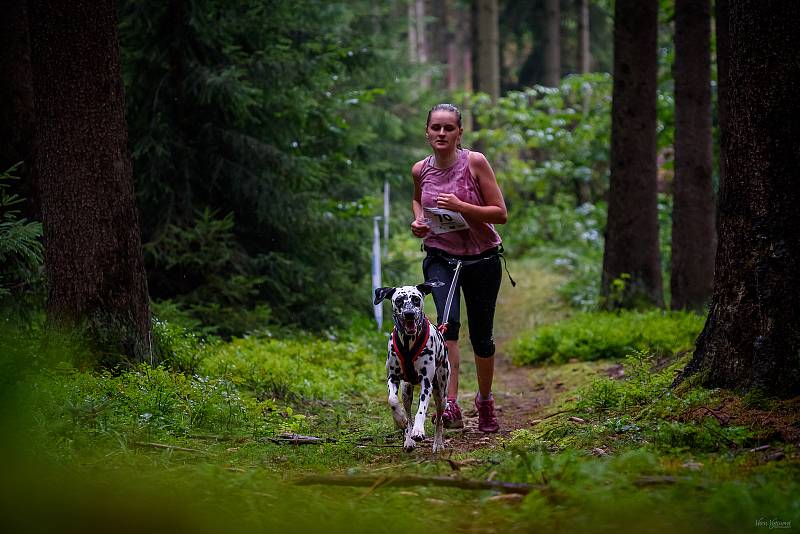 Hruboskalský canicross.