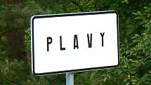 Plavy