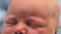 Alex Petrok se mamince Žanetě Petrokové narodil 22. ledna 2008 v jablonecké porodnici. Měřil 50 centimetrů a vážil 3850 gramů. Blahopřejeme! 