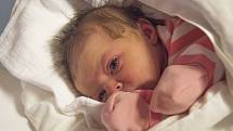 ŠTĚPÁNKA KRAUSOVÁ se narodila v pondělí 10.  dubna mamince Kláře Poustecké z Hodkovic nad Mohelkou. Měřila 48 cm a vážila 2,86 kg.