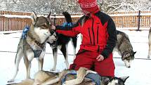 Jana Henychová představuje smečku čtrnácti psů, se kterými jede závod v Norsku.