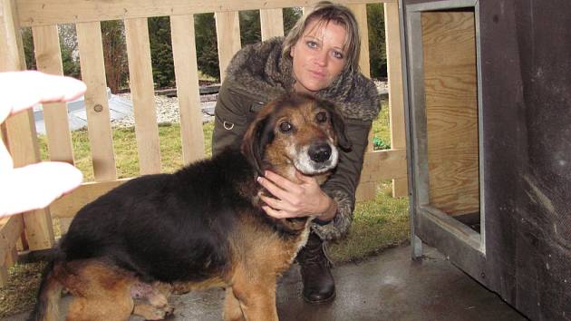 Z lučanského útulku Dášenka putoval na základě rozhodnutí krajské veterinářky šestnáctiletý pes zpátky k majitelce. K pochybení z její strany sice došlo ale ne tak závažnému, aby jí pes nemohl být opět vydán. Na snímku Dagmar Kubištová předává psa do nové