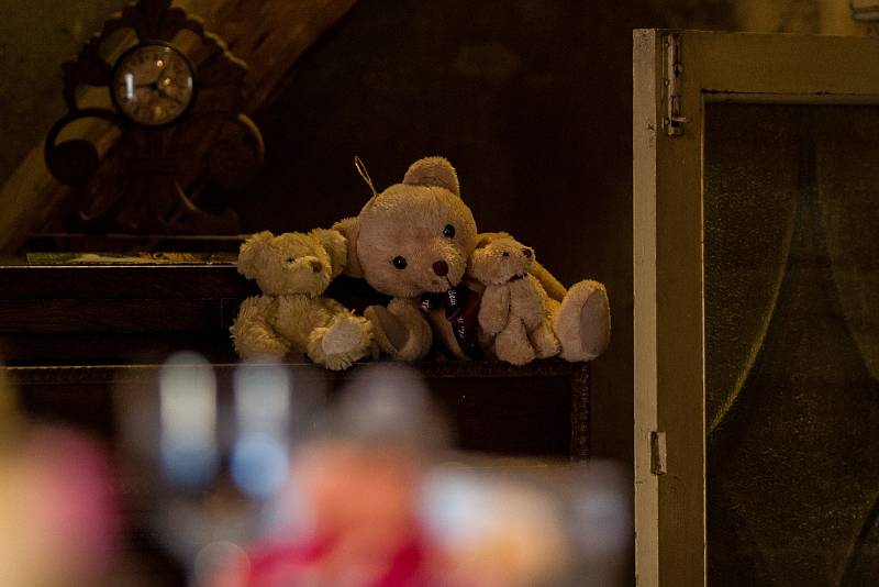 Výstava plyšových medvědů probíhá v jabloneckém Muzeu pro radost.