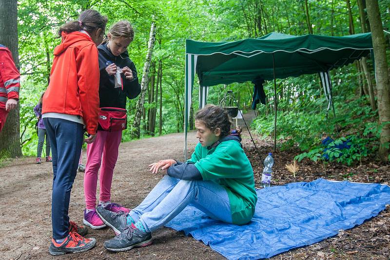 Krajské kolo Helpíkova poháru Libereckého kraje, zdravotně výchovné soutěže v první pomoci pro žáky pátých tříd základních škol, proběhlo 16. května u vodní nádrže Mšeno v Jablonci nad Nisou.