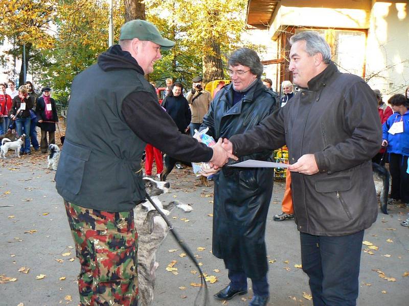 Předávání dobrot oceněným psům. Majitel žíhaného jedenapůl ročního Buba převzal ceny od Vlastimila Harapese a starosty Petra Tulpy.