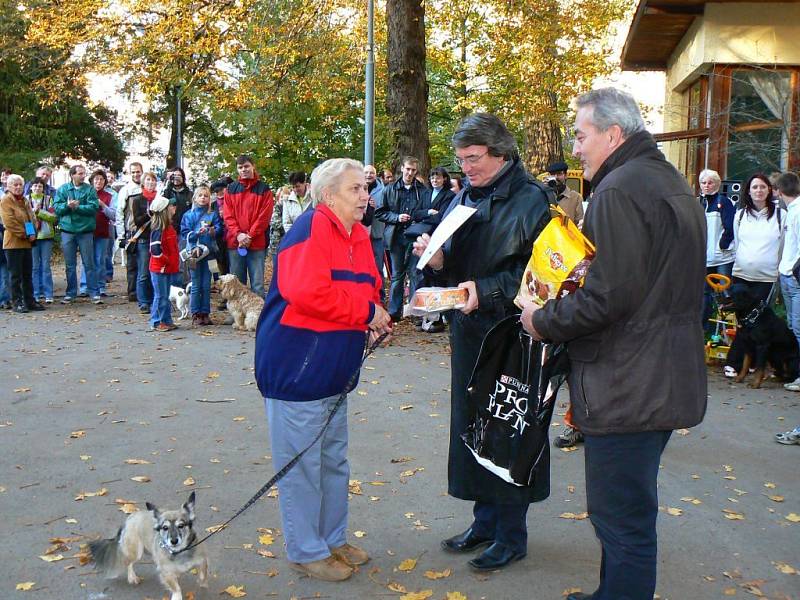 Předávání dobrot oceněným psům. Z rukou Vlastimila Harapese a starosty Petra Tulpy ceny převzala M. Zaoralová s fenkou Kety.