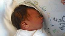 Stella Hásková se narodila 12.října v jablonecké porodnici mamince Kateřině Hájkové z Předlánc.Vážila 3,22 kg a měřila 50 cm.
