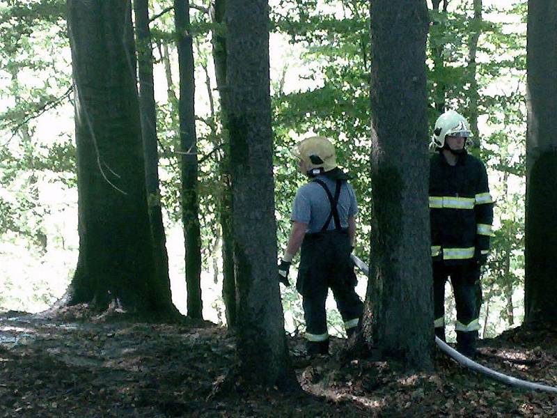 Sbor dobrovolných hasičů Rádlo. Hašení požáru lesního porostu.