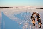 Jana Henychová se připravuje v Norsku na evropský nejdelší a nejnáročnější závod psích spřežení Finnmarkslopet. 