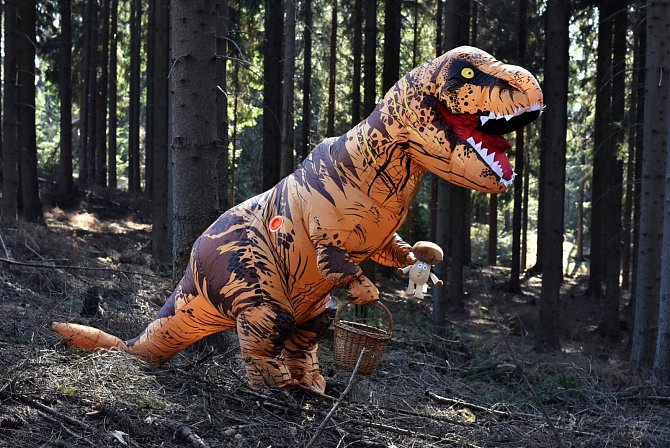 V třineckém lesoparku se mohou děti vydat Po stopách dinosaurů.