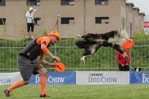 Dogfrisbee: je to sportovní disciplína, která vypadá jako hra a jejíž kořeny pochází z USA na počátku 70 let. 