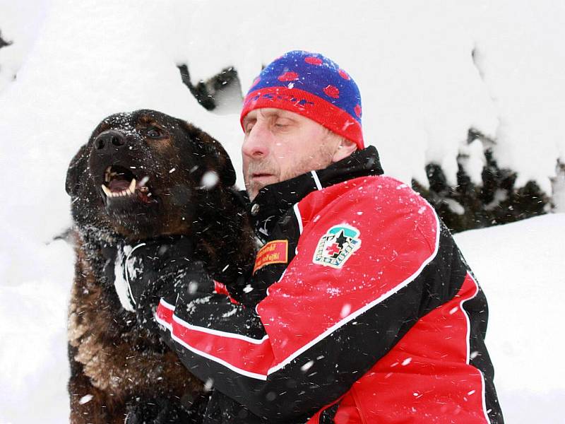 Psovod Horské služby Jizerské hory Pavel Hořejší s lavinovým psem Benjim v zimě loňského roku. V osmi letech podlehl rakovině.