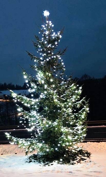 Vánoční strom Loužnice