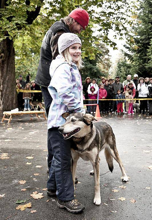 13. ročník soutěže O jabloneckého voříška 2011 se konal tradičně v Tyršových sadech. Bojovat o tituly přišli majitelé se 24 psy.