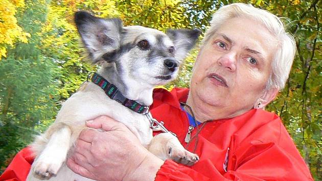 Soutěž Jablonecký voříšek pořádal útulek Dášenka v sobotu v Tyšově parku. Klání se zúčastnilo 36 psů. Vyhrála Magdalena Zaoralová s fenkou Ketty.
