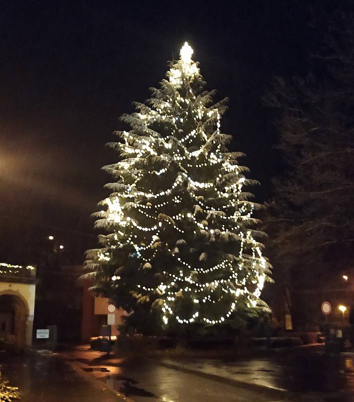 Vánoční strom u Riedlovy vily v Desné