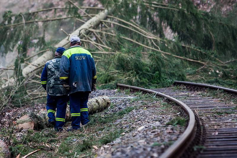 Kácení dřevin podél železniční trati 035 Železný Brod - Tanvald na snímku z 27. března. Cestující musí počítat s výlukami vlaků až do 29. března.