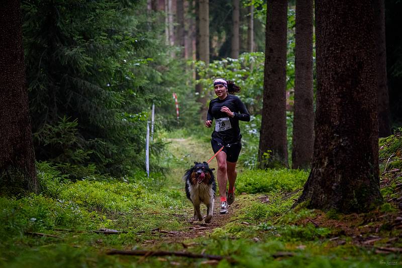 Hruboskalský canicross.