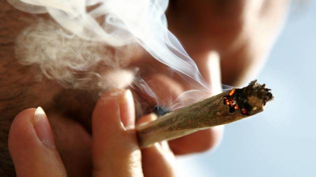 Marihuana a děti? Bohužel už běžné spojení - Deník.cz