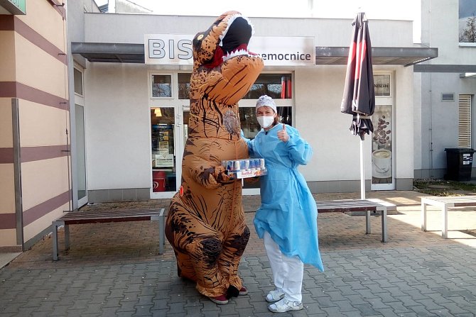 Dinosaurus předal zaměstnancům jablonecké nemocnice energetické drinky.