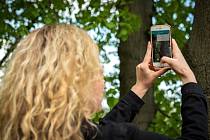 Mobilní aplikace Tree Check App vznikla zejména pro laickou veřejnost.