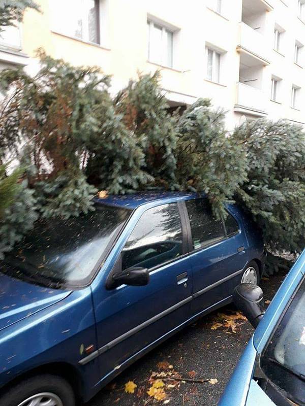 Na Jablonecku padají stromy, na mnoha místech nefunguje elektřina. V Železném Brodě spadl strom na auto.